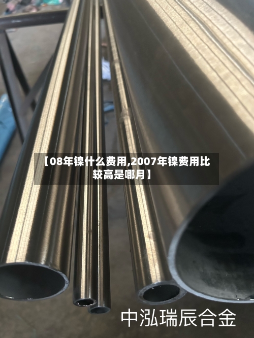 【08年镍什么费用,2007年镍费用比较高是哪月】-第3张图片