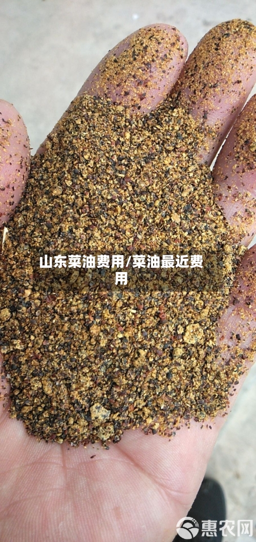 山东菜油费用/菜油最近费用-第3张图片