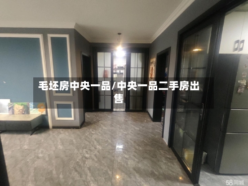 毛坯房中央一品/中央一品二手房出售-第2张图片