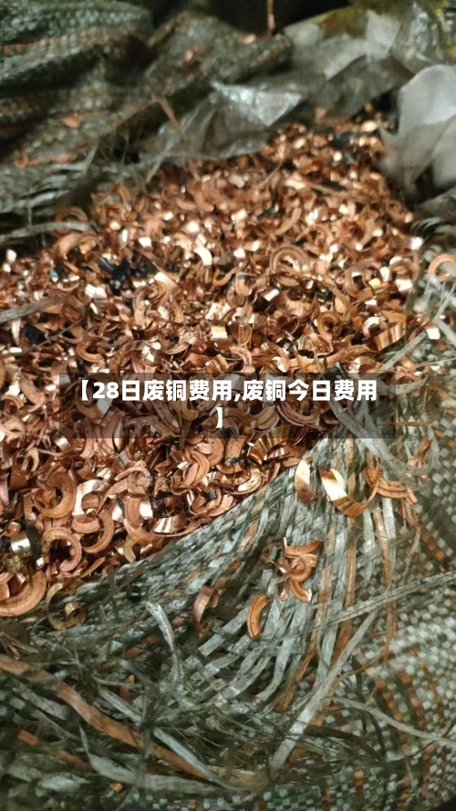 【28日废铜费用,废铜今日费用】-第3张图片