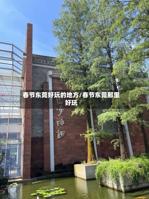 春节东莞好玩的地方/春节东莞那里好玩-第3张图片