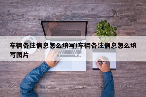 车辆备注信息怎么填写/车辆备注信息怎么填写图片