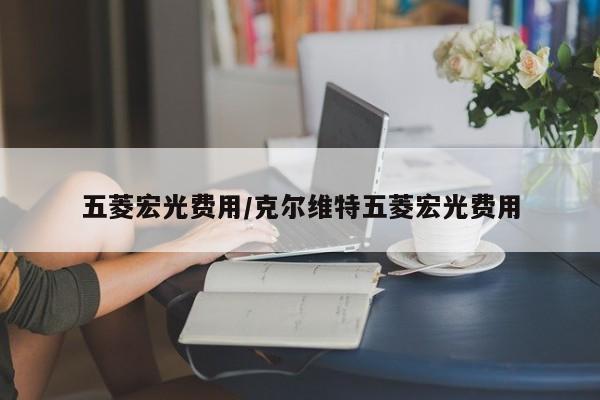 五菱宏光费用/克尔维特五菱宏光费用