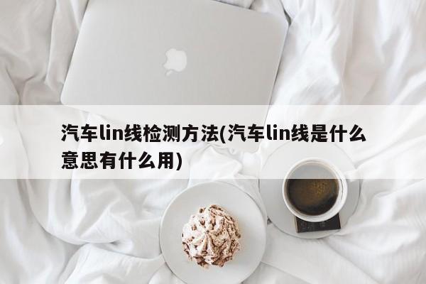 汽车lin线检测方法(汽车lin线是什么意思有什么用)