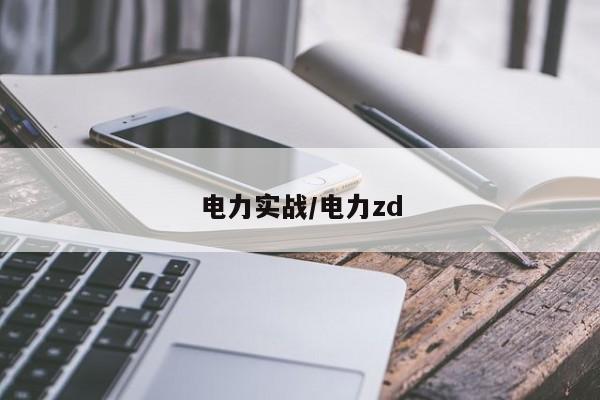 电力实战/电力zd