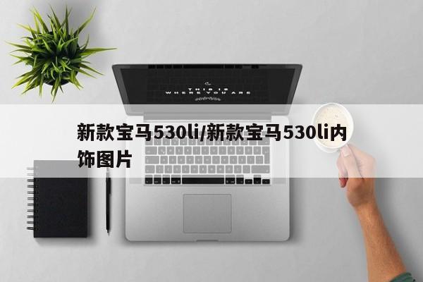 新款宝马530li/新款宝马530li内饰图片