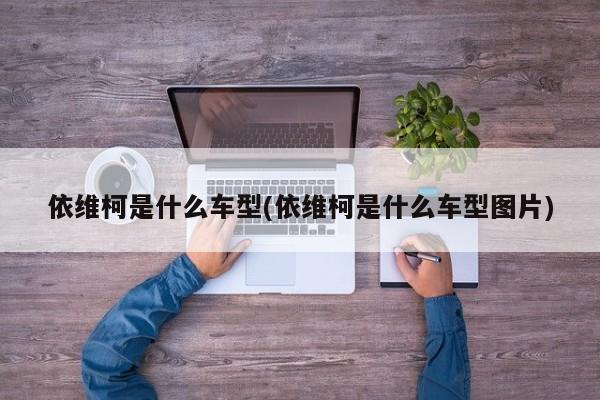 依维柯是什么车型(依维柯是什么车型图片)