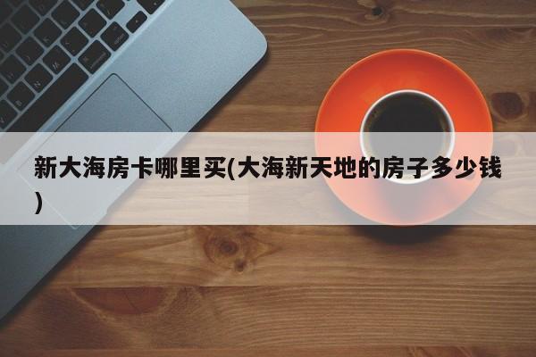 新大海房卡哪里买(大海新天地的房子多少钱)