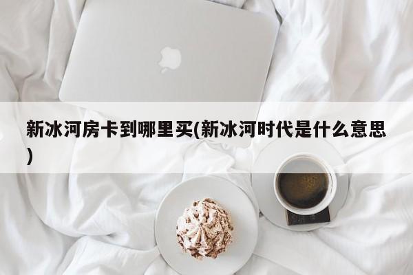 新冰河房卡到哪里买(新冰河时代是什么意思)