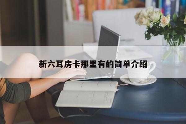 新六耳房卡那里有的简单介绍