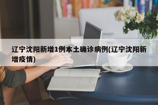 辽宁沈阳新增1例本土确诊病例(辽宁沈阳新增疫情)