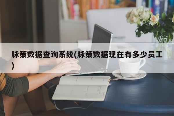 脉策数据查询系统(脉策数据现在有多少员工)