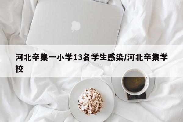 河北辛集一小学13名学生感染/河北辛集学校