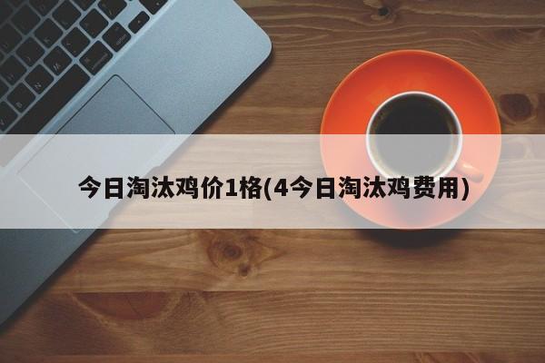 今日淘汰鸡价1格(4今日淘汰鸡费用)
