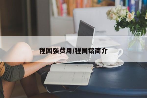 程国强费用/程国铭简介