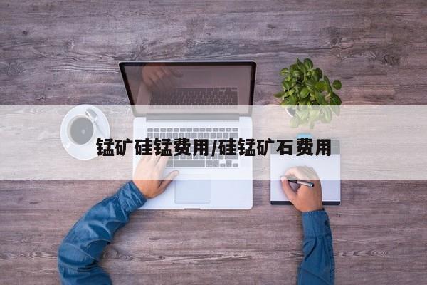 锰矿硅锰费用/硅锰矿石费用