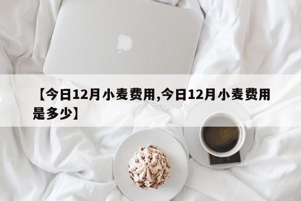 【今日12月小麦费用,今日12月小麦费用是多少】