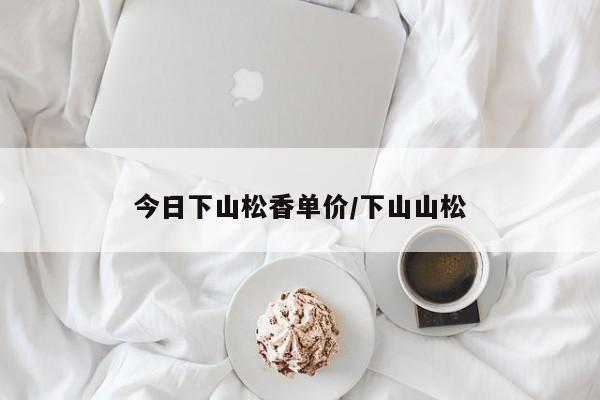 今日下山松香单价/下山山松