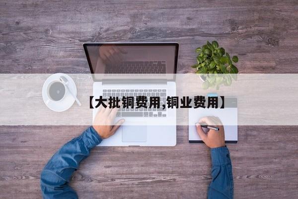【大批铜费用,铜业费用】