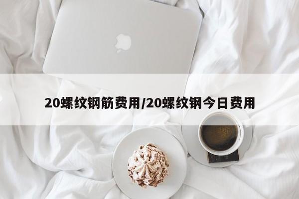 20螺纹钢筋费用/20螺纹钢今日费用