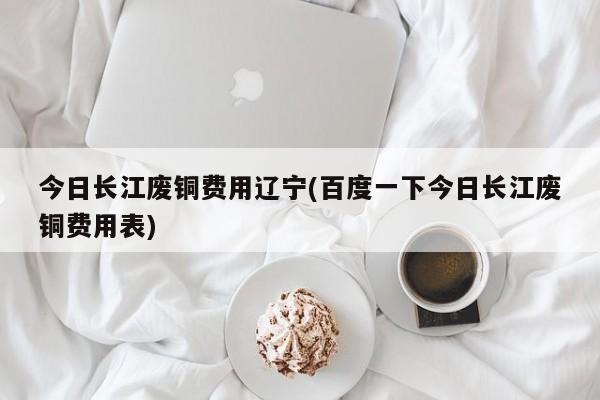 今日长江废铜费用辽宁(百度一下今日长江废铜费用表)