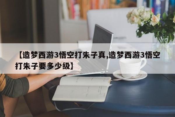 【造梦西游3悟空打朱子真,造梦西游3悟空打朱子要多少级】