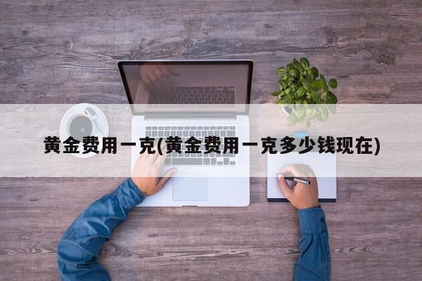 黄金费用一克(黄金费用一克多少钱现在)
