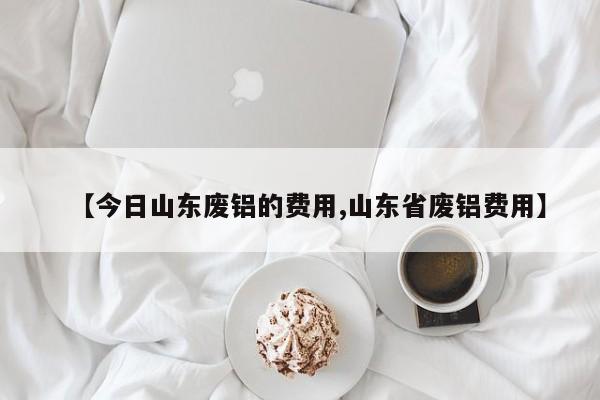 【今日山东废铝的费用,山东省废铝费用】