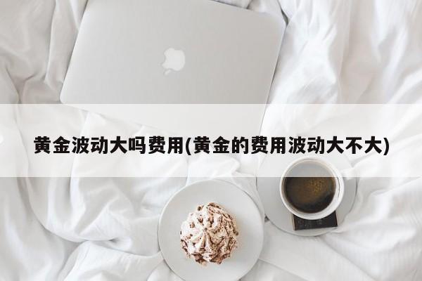 黄金波动大吗费用(黄金的费用波动大不大)
