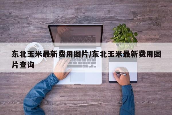 东北玉米最新费用图片/东北玉米最新费用图片查询
