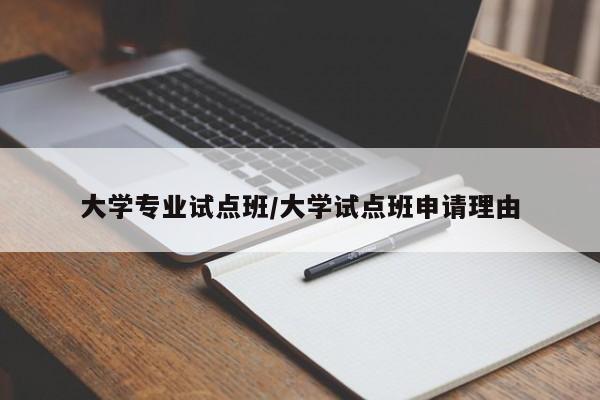 大学专业试点班/大学试点班申请理由