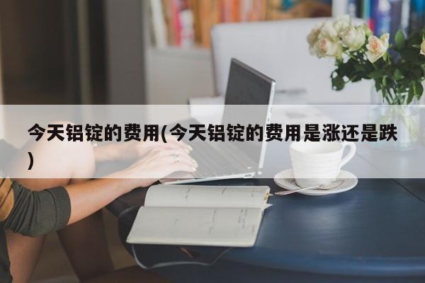 今天铝锭的费用(今天铝锭的费用是涨还是跌)