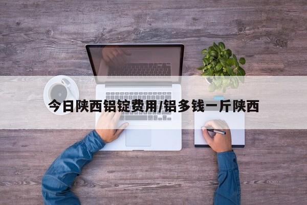 今日陕西铝锭费用/铝多钱一斤陕西