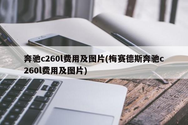 奔驰c260l费用及图片(梅赛德斯奔驰c260l费用及图片)