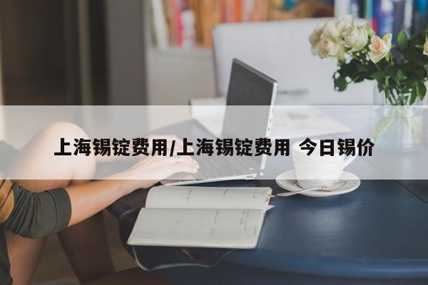 上海锡锭费用/上海锡锭费用 今日锡价