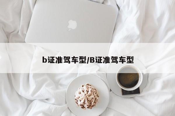 b证准驾车型/B证准驾车型