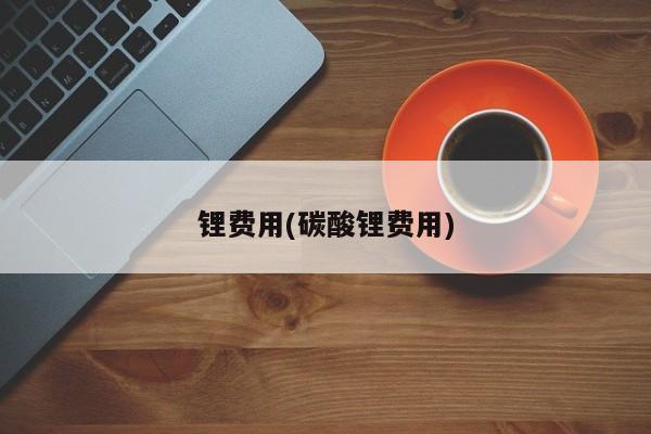 锂费用(碳酸锂费用)