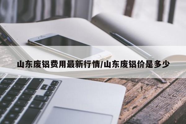 山东废铝费用最新行情/山东废铝价是多少