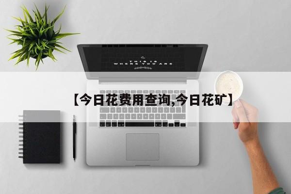 【今日花费用查询,今日花矿】